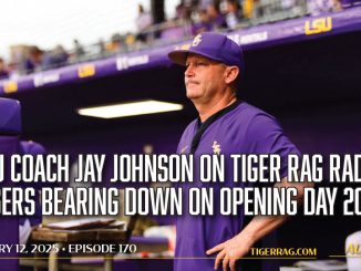 Jay Johnson, LSU baseball