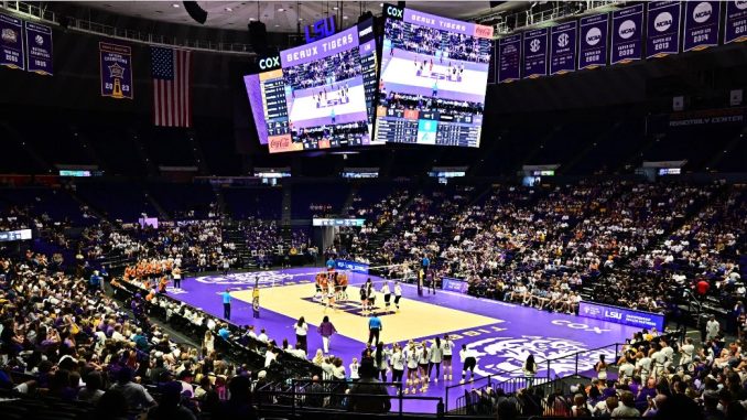 LSU Volleyball