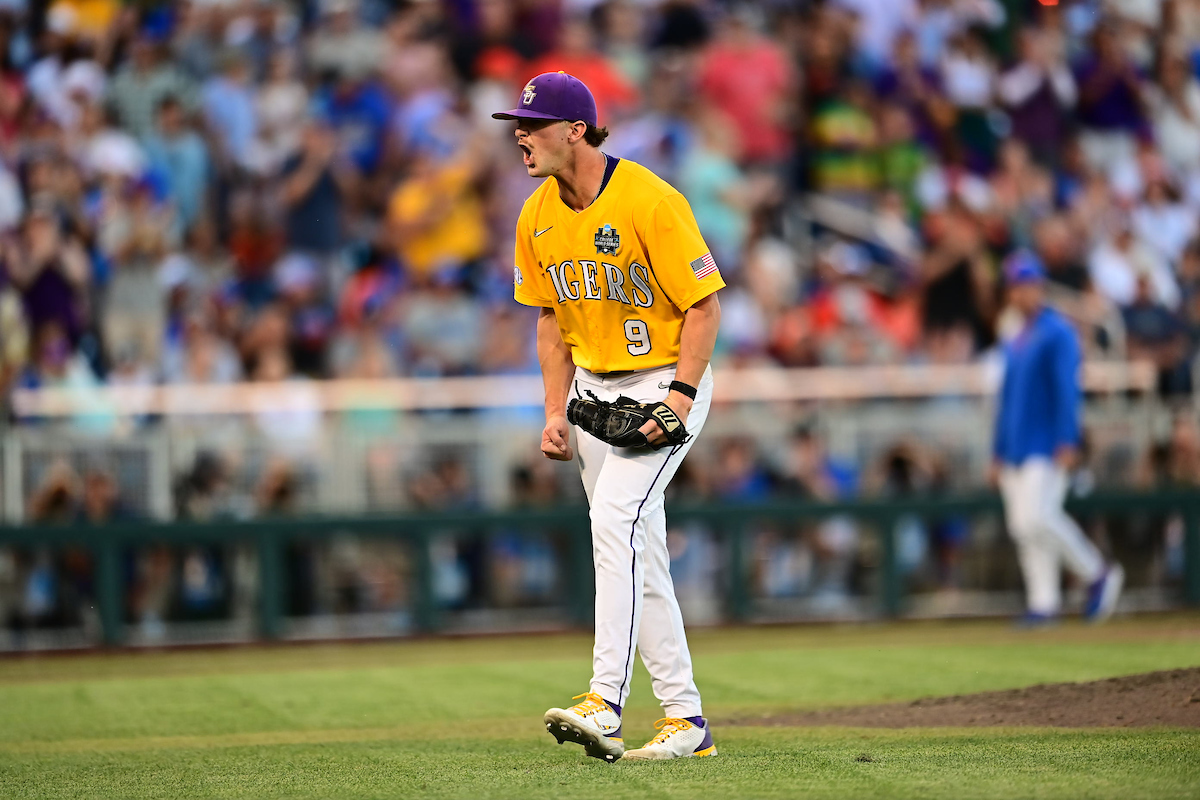 Tigers Baseball, Michigan Collegiate Baseball, Little League